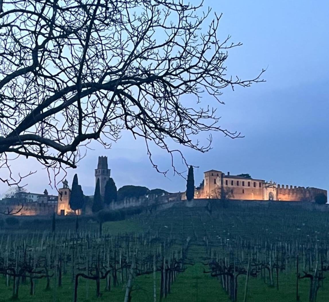 I Sassi Della Piave Villa Susegana Ngoại thất bức ảnh